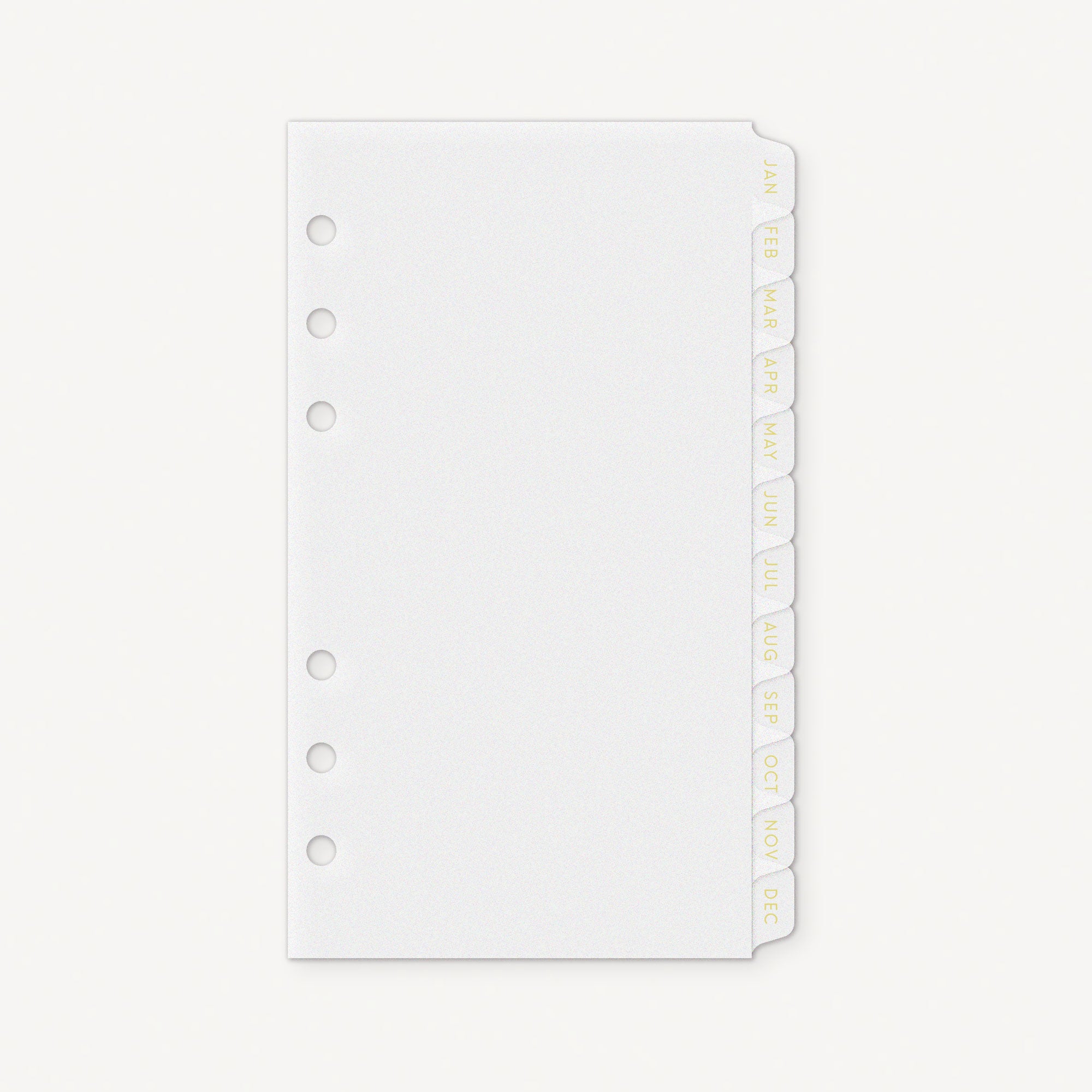 Today Page Marker for Ringbound Planners in Clear, Frosted